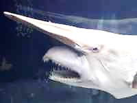 , , ER ܂܂Ă摜

AI ɂĐꂽRec͊ԈĂ\܂B