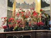 ˒I, , Lb`,  ܂܂Ă摜

AI Rec͌܂މ\܂B