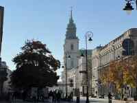 ̒̋

AI Rec͌܂މ\܂B