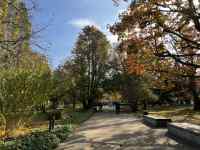 X̓

AI Rec͌܂މ\܂B