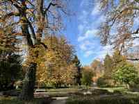 ΂̖؁X

AI Rec͌܂މ\܂B