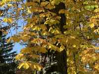 , H,  ܂܂Ă摜

AI Rec͌܂މ\܂B