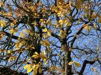 ؂̎}

AI Rec͌܂މ\܂B