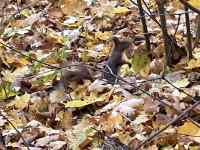 ̏ɕł郊X

AI Rec͌܂މ\܂B