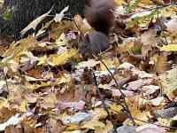 ؂̎}

AI Rec͌܂މ\܂B