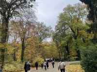 X̒Ăl

AI Rec͌܂މ\܂B