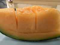 Hi, , e[u, t[c ܂܂Ă摜

AI Rec͌܂މ\܂B