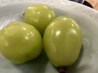 {E̒ɂ郊S

AI Rec͌܂މ\܂B