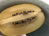 スポーツ, スポーツゲーム が含まれている画像
AI 生成コンテンツは誤りを含む可能性があります。