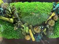 ブロッコリー, カエル が含まれている画像
AI 生成コンテンツは誤りを含む可能性があります。