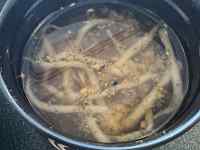 ボウル, 食品, 金属, いっぱい が含まれている画像
AI 生成コンテンツは誤りを含む可能性があります。