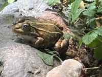 ̐

AI Rec͌܂މ\܂B