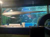 屋内, テレビ, モニター, 画面 が含まれている画像
AI 生成コンテンツは誤りを含む可能性があります。