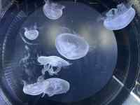 背景パターン が含まれている画像
AI 生成コンテンツは誤りを含む可能性があります。