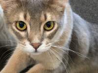 L̊

AI Rec͌܂މ\܂B