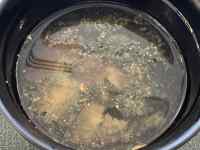 tCp̒̃X[v

AI Rec͌܂މ\܂B