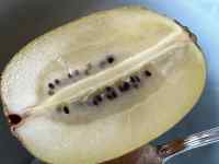 X|[cQ[ ܂܂Ă摜

AI Rec͌܂މ\܂B