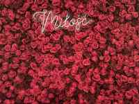 ~,  ܂܂Ă摜

AI Rec͌܂މ\܂B