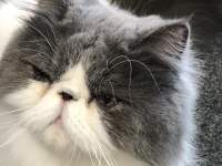 L̊

AI Rec͌܂މ\܂B