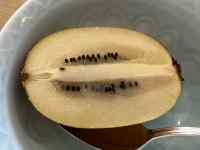 t[c, Hi ܂܂Ă摜

AI Rec͌܂މ\܂B