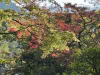 ΂̖؁X

AI Rec͌܂މ\܂B