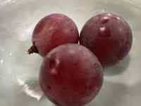 S̃Abv

AI Rec͌܂މ\܂B