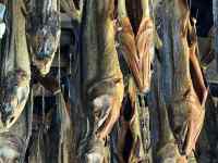 E}, H, O,  ܂܂Ă摜

AI Rec͌܂މ\܂B