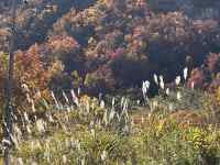 ̏ɂ鐔ނ̖

AI Rec͌܂މ\܂B