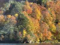 ؁X̍e

AI Rec͌܂މ\܂B