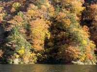 ؁X̊Ԃ𗬂

AI Rec͌܂މ\܂B