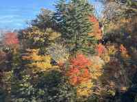 ΂̖؁X

AI Rec͌܂މ\܂B