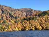 Rƌ΂̕i

AI Rec͌܂މ\܂B