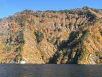 ŘiF

AI Rec͌܂މ\܂B