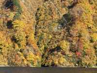 ΂̖؁X

AI Rec͌܂މ\܂B