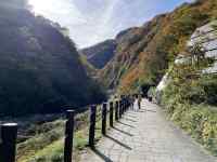 R̎Ζ

AI Rec͌܂މ\܂B