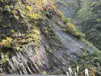 X̒𗬂

AI Rec͌܂މ\܂B