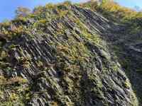 Ă

AI Rec͌܂މ\܂B