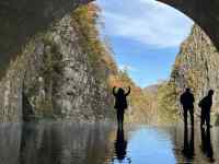 , , ,  ܂܂Ă摜

AI Rec͌܂މ\܂B