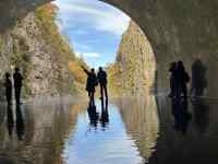 , F, ,  ܂܂Ă摜

AI Rec͌܂މ\܂B