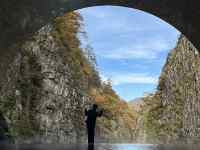 , , ,  ܂܂Ă摜

AI Rec͌܂މ\܂B