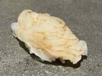 , Hi ܂܂Ă摜

AI Rec͌܂މ\܂B