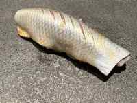 , ,  ܂܂Ă摜

AI Rec͌܂މ\܂B