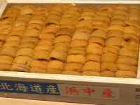 Hi, K ܂܂Ă摜

AI Rec͌܂މ\܂B