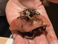 , , e[u,  ܂܂Ă摜

AI Rec͌܂މ\܂B