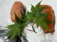 Hi ܂܂Ă摜

AI Rec͌܂މ\܂B