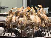 EV, , Q, O[v ܂܂Ă摜

AI Rec͌܂މ\܂B