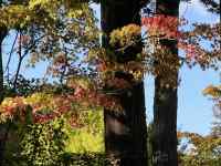 ̖

AI Rec͌܂މ\܂B