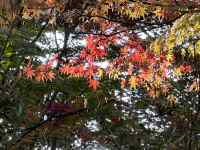 ؂̎}ɍ炢Ă

AI Rec͌܂މ\܂B