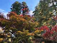 ΂̖؁X

AI Rec͌܂މ\܂B