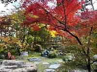 ΂̖؁X

AI Rec͌܂މ\܂B